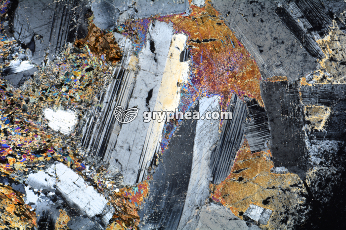 Métagabbro à Hornblende LPA x3,5 - gryphea.org